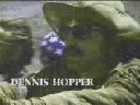 easyrider3.gif (11065 bytes)