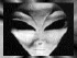 grey.gif (5182 bytes)