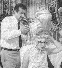 hairspray.jpg (11328 bytes)