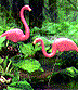 pinkflam.gif (5994 bytes)